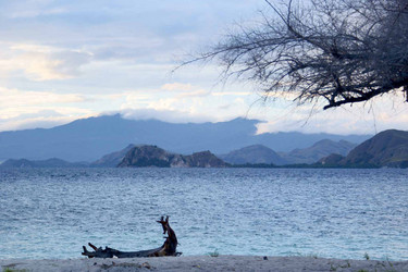 Similar image 278252