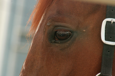 Similar image 278274