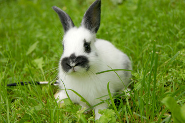 Similar image 278288