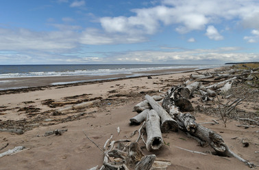 Similar image 278313