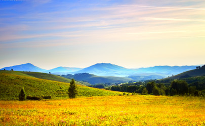 Similar image 278321