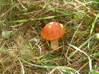 Similar image 278331