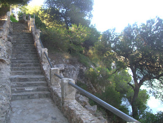 Similar image 278337