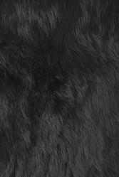 Similar image 278396