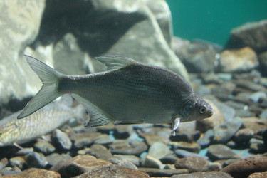 Similar image 278425