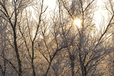 Similar image 278437