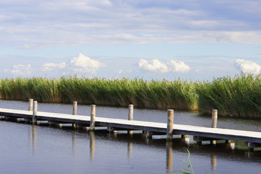 Similar image 278440