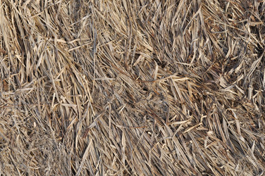 Similar image 278450