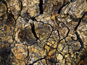 Similar image 278451