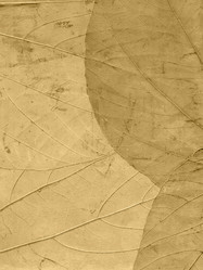 Similar image 278453