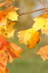 Similar image 278479