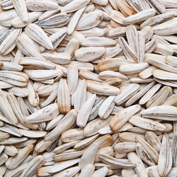 Similar image 278485