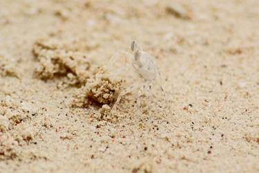 Similar image 278509