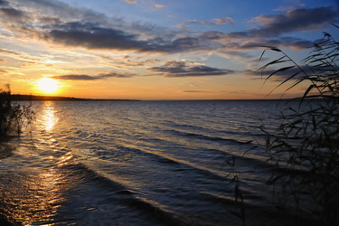 Similar image 278546