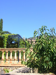 Similar image 278564