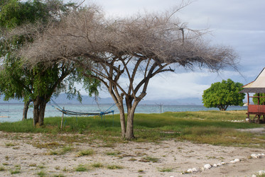 Similar image 278567