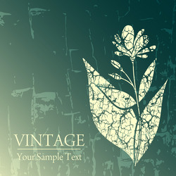 Similar image 278571