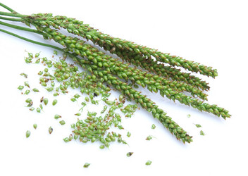 Similar image 278626