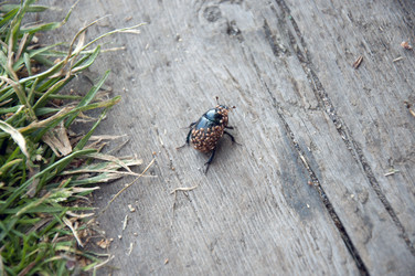 Similar image 278644