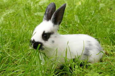 Similar image 278705