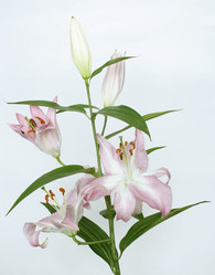 Similar image 278707