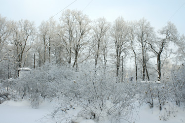 Similar image 278732