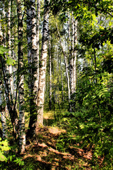 Similar image 278735