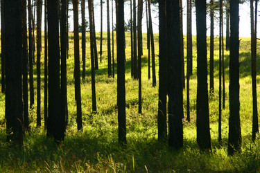 Similar image 278736