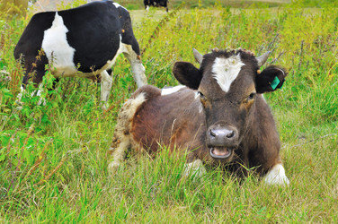 Similar image 278747