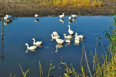 Similar image 278749