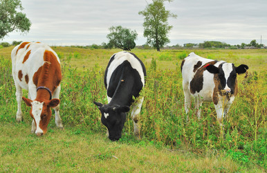 Similar image 278752