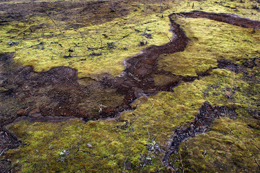 Similar image 278775