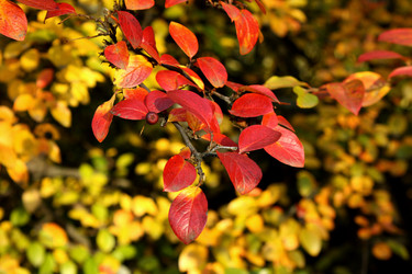 Similar image 278777