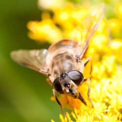 Similar image 278780