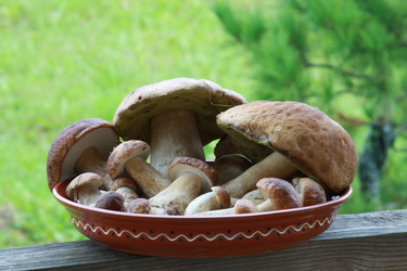 Similar image 278798