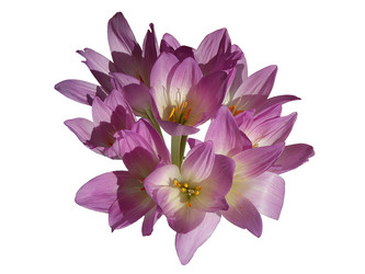 Similar image 278807