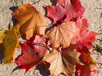 Similar image 278809