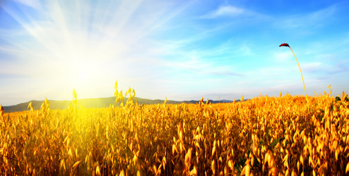 Similar image 278826