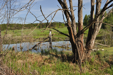 Similar image 278833