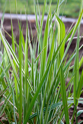 Similar image 278840