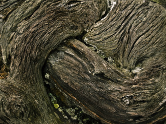 Similar image 278865