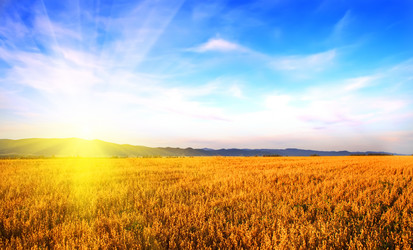 Similar image 278921