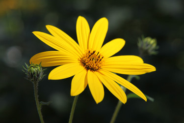 Similar image 278934