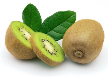 Similar image 278936