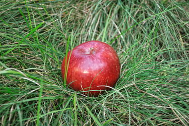 Similar image 278937