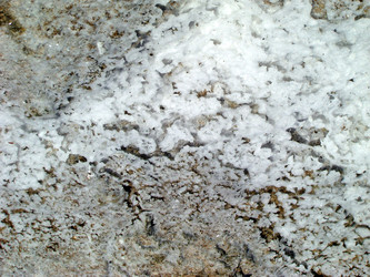 Similar image 278946