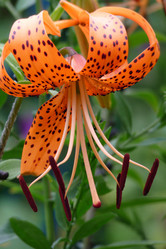 Similar image 278965