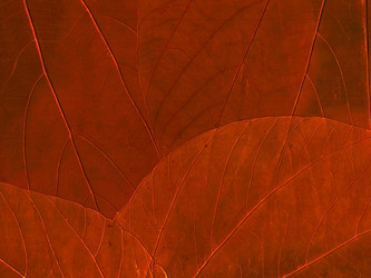 Similar image 278970