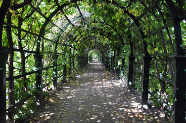 Similar image 278971