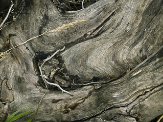 Similar image 278989